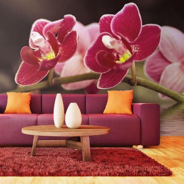 гоблен - Красиви цветя на орхидея във водата 450x270