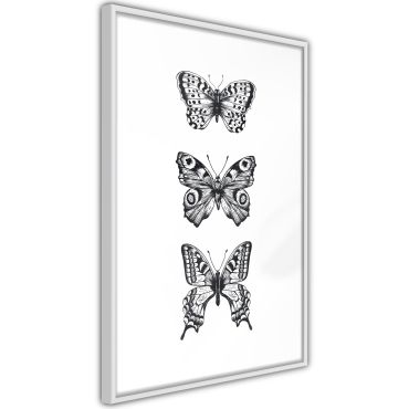 Плакат - Butterfly Collection III A