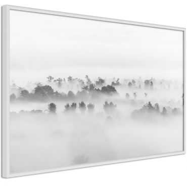 Плакат - Мъгла над гората