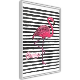 Плакат - Фламинго на райета